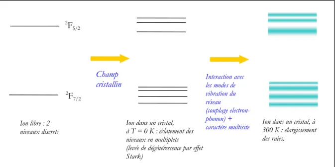 Figure I.1.1 : comment l’on passe de l’ion libre, avec deux niveaux discrets (incompatibles avec un 