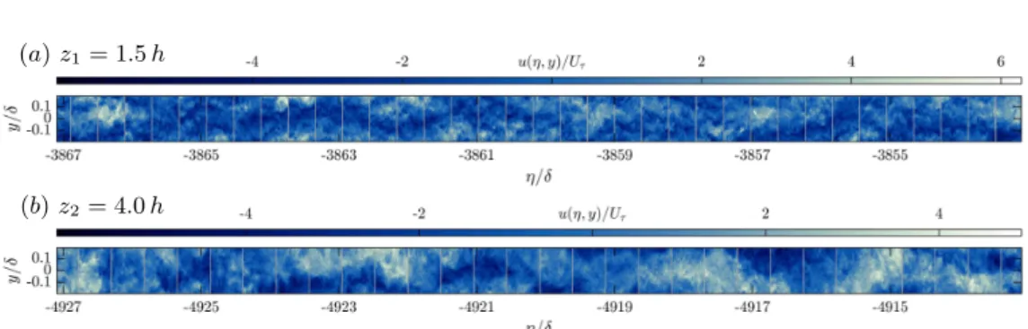 Figure 2. Excerpts of streamwise velocity fluctuations u(η, y)/U τ in combined SPIV fields for canopy λ p = 6.25% in (a) z 1 = 1.5 h and (b) z 2 = 4.0 h (vertical grey lines mark field junctions).