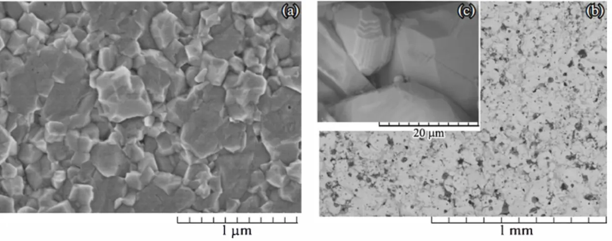 Fig. 1. SEM image of (a) the nBT and (b, c) mBT samples. 