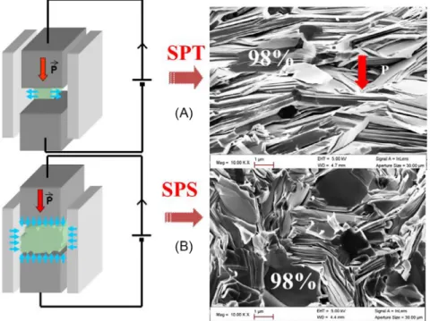 Fig. 9 (A) Spark plasma sintering and (B) texturing versus SEM images.196Spark Plasma Sintering: Current Status, New Developments and Challenges