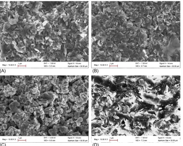 Fig. 2 SEM micrographs of different samples (A) conventional sintering, (B) SPS at 850°C with Mg+B addition, (C) SPS graphite mold at 950°C,