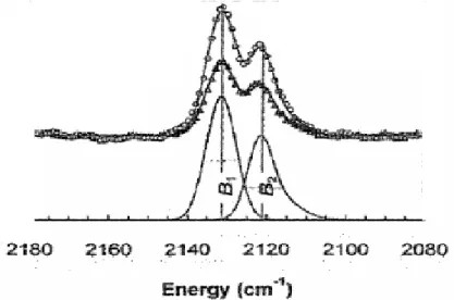 Fig. 1.6 : Spectre infrarouge des ´ etats B de la carboxymyoglobine (cheval) 10 ps apr` es photodissociation