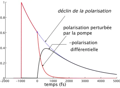 Fig. 3.3 : D´ eclin de la polarisation (  free induction decay  ), polarisation per-