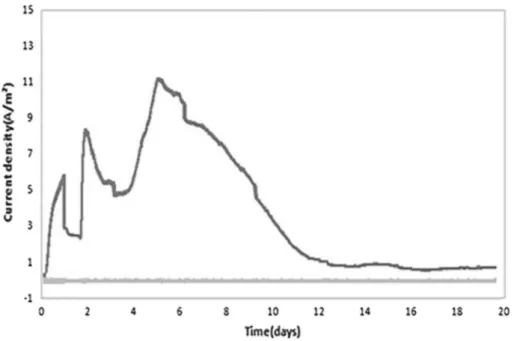 Fig. 3 Current density obtained