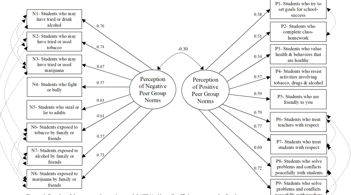 Figure 1. Results of the structural equation model (CFA). Note: Coefficients are standardized