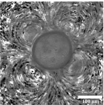 Fig. 7    Microstreaming pattern obtained with an air bubble located in 