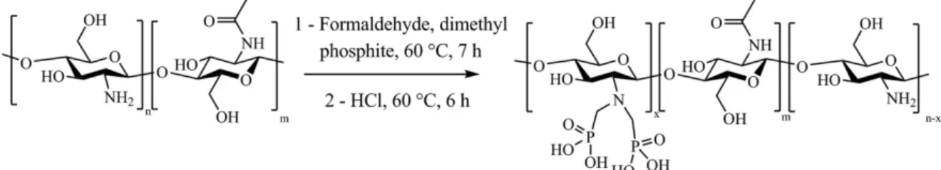 Fig. 1: Synthesis of N,N-methylene phosphonic ester chitosan followed by hydrolysis step.
