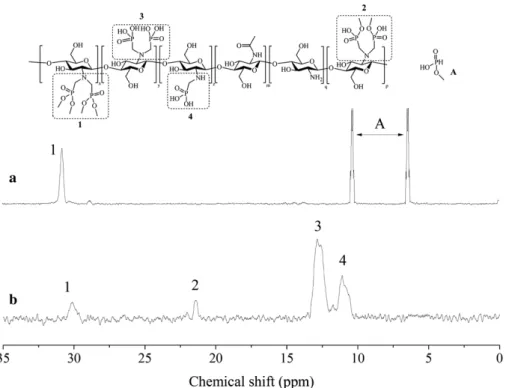 Fig. 5:  31 P DOSY NMR spectrum of P-chitosan 30 recorded in D