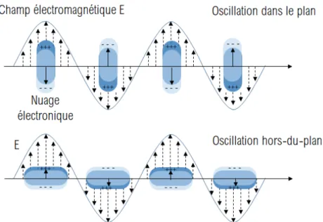 Figure 1.2 : Représentation schématique des différents modes d’oscillation d’un plasmon de surface localisé excité dans des nanoparticules métalliques anisotropes.
