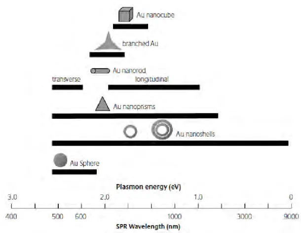 Figure 1.3 : Gamme de longueurs d’onde des résonances plasmon de surface (SPR) de nanoparticules d’or de différentes morphologies