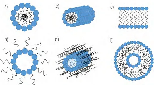 Figure 1.6 : Schéma représentatif des différents assemblages de tensio-actifs, sous forme de micelles (a) directes, (b) inverses, (c) cylindriques directes, (d) cylindriques inverses, mais aussi des (e) phases lamellaires et (f) micelles multicouches ou &#