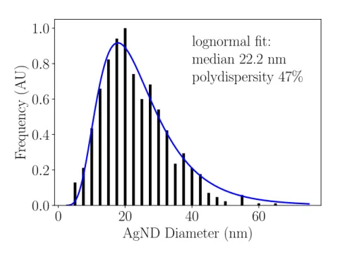 Figure 1.11 : Distribution statistique du diamètre des nanodisques d’argent d’après l’analyse d’images MET sur plus de 700 objets.