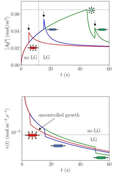 Figure 1.16 : Représentations schématiques de l’évolution de la concentration en atomes d’argent [Ag 0 ] ainsi de leur vitesse de production au cours du temps, d’après 