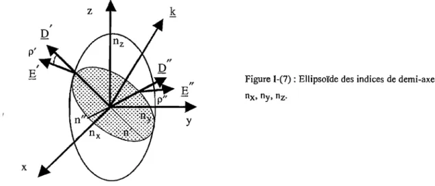 Figure  1-(7) :  Ellipsoïde des  indices  de demi-axes  nx,  ny,  nz. 