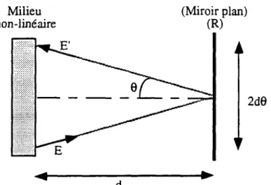 Fig  I.3.4: propagation d’une onde  faisant  un  angle  03B8  avec  l’axe  optique  sur un