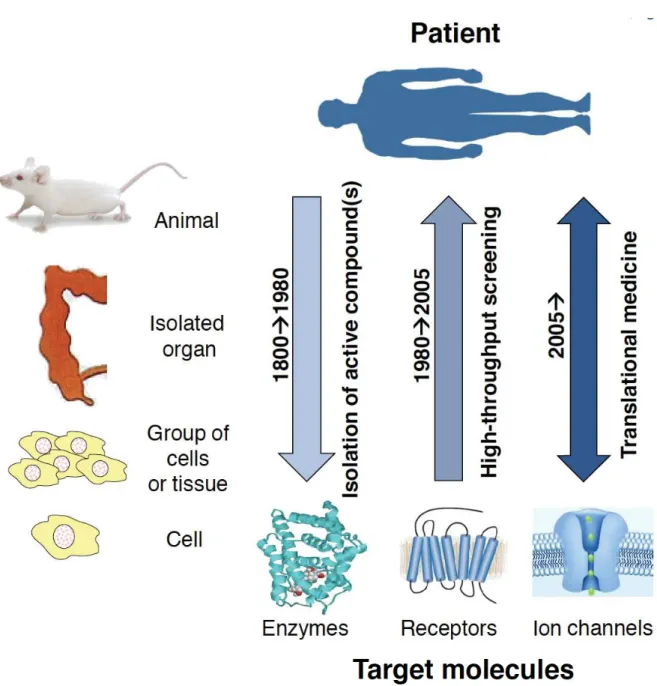 Figure 6.  Evolution of the research strategies utilized by Pharma companies. 