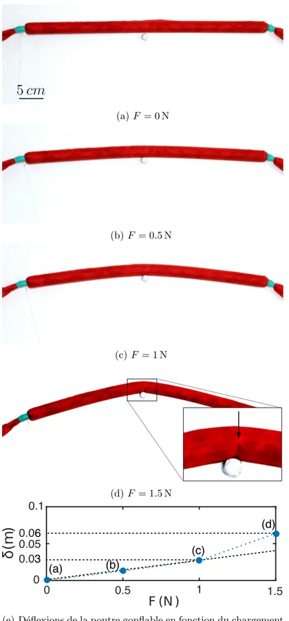 Figure 1.8 – ´ Evolution de la forme du boudin avec l’augmentation de la charge pour un boudin