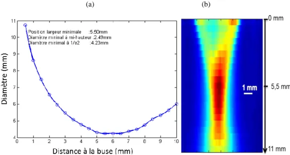 Figure  II-20 :  (a)  Caustique  du  jet  de  poudre  316L  (b)  Distribution  2D  (x,  z)  du  jet  de  poudre  obtenue  par  l’analyse d’image éclairée par laser 