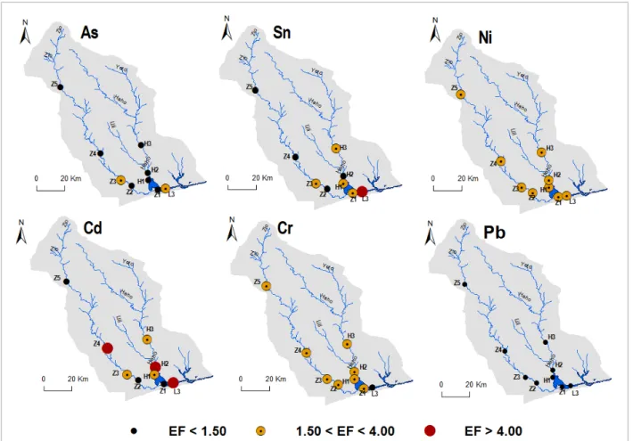 Figure 6 : Maps showing the spatial distribution of the most relevant TE enrichment factors