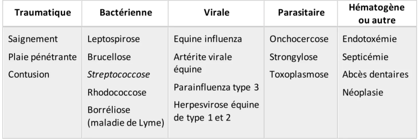Figure 8 : Causes possibles d'uvéite aiguë, d’après Gilger, 2017