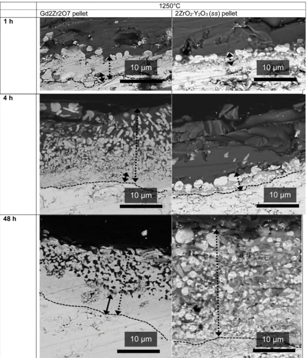 Fig. 2. SEM images of a cross-section of pellet / CMAS interaction zones observed after annealing at 1250 °C for 1 h, 4 h and 48 h for anti-CMAS Gd 2 Zr 2 O 7 and 2ZrO 2 ∙Y 2 O 3 (ss) pellets contaminated with 10 mg CMAS per cm²