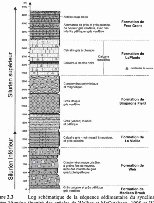 Figure 2.3  Log  schématique  de  la  séquence  sédimentaire  du  synclina l  de  la 