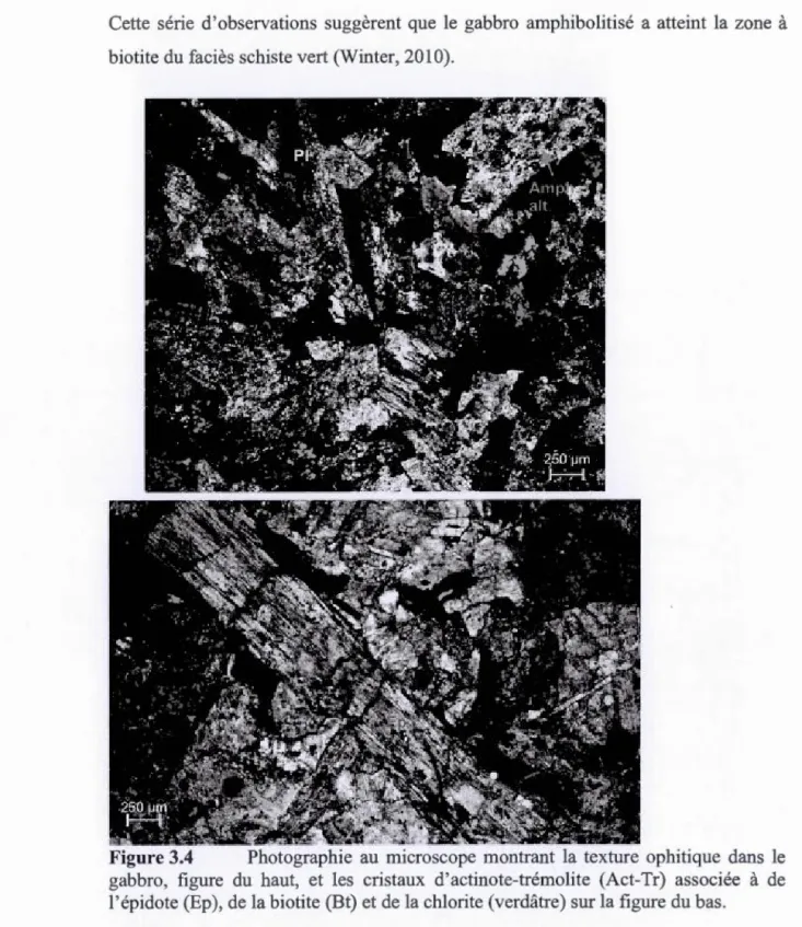 Figure  3.4  Photographie  au  microscope  montrant  la  texture  ophitique  dans  le 