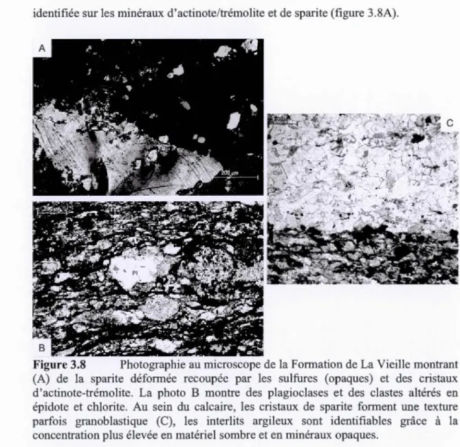 Figure  3.8  Photographie  au  microscope de  la  Formation  de  La Vieille montrant  (A)  de  la  sparite  déformée  recoupée  par  les  sulfure s  (opaques)  et  des  cristaux  d ' actinote-trémolite