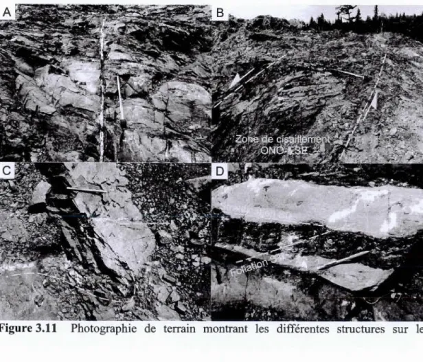 Fig u re 3 . 11  Photographie  de  terrain  montrant  les  différentes  structures  sur  le 