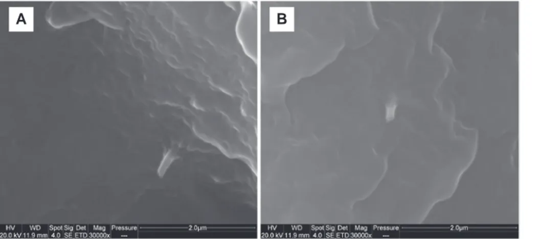 Figure 6: SEM micrographs of fractured surfaces of (A) PA11/H5 and (B) PA11/HC5 after undergoing notched Charpy test