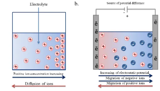 Figure 2.4 – Origins of ionic flux in electrolyte: a) Diffusion due to gradient of concentration;   b) Migration due to gradient of potential  