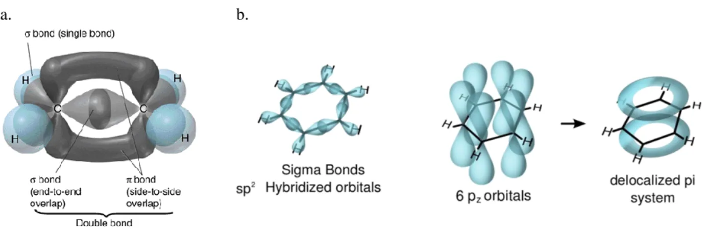 Figure 2.8 – Formation of σ and π bonds in: a) ethylene molecule; b) benzene molecule 