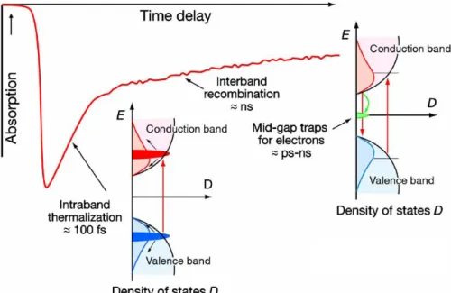 Figure 2-11 : réponse temporelle d’un SESAM. On distingue la thermalisation intra-bande rapide et la  recombinaison inter-bandes, plus longue [Keller 2006]