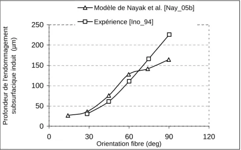 Figure 31. Comparaison des endommagements en subsurface obtenus par la simulation de [Nay_05b] 
