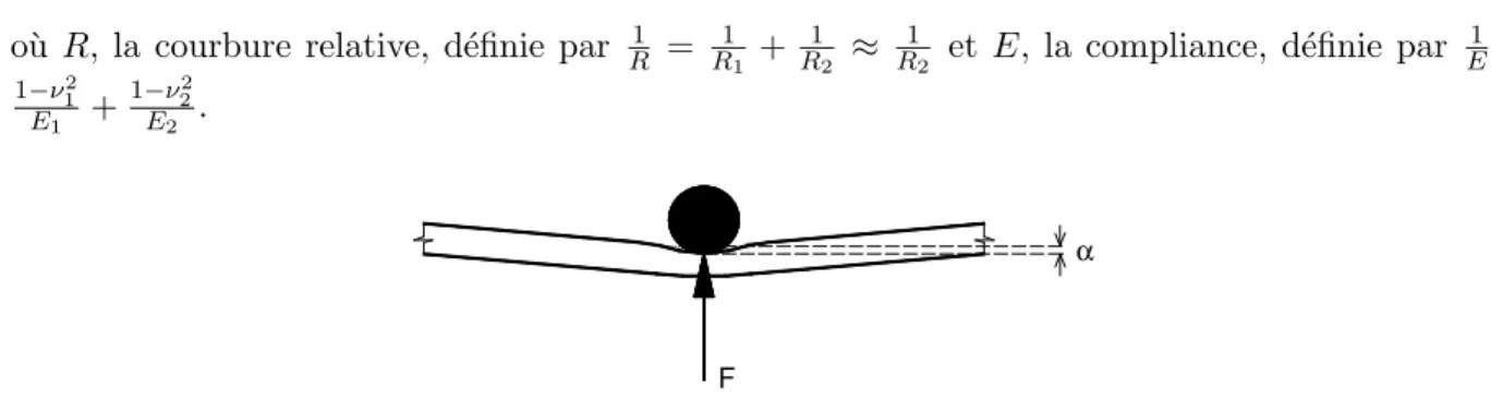 Figure 2.5. Loi de contact de Hertz d´ecrivant la relation entre la force de contact et l’indentation