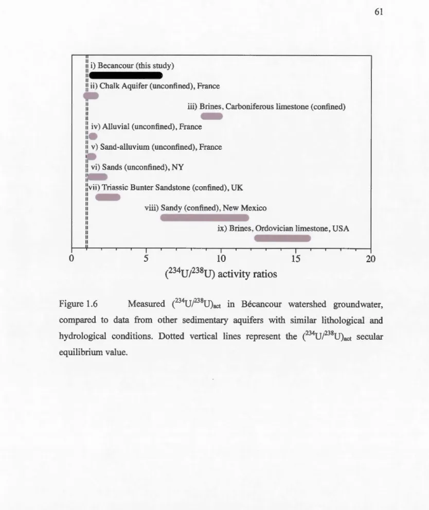 Figure  1.6  Measured  e 3 4 UP 38 U)a c t  in  Bécancour  watershed  groundwater , 