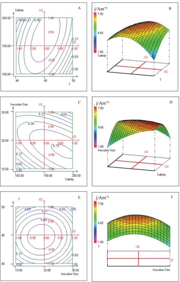Fig. 4. The 2D-contour plots and 3D-response surface of current production j/Am −2 versus the tested variables: salinity and temperature (T) [A and B]; inoculum size and salinity [C and D]; temperature (T) and inoculum size [E and F].