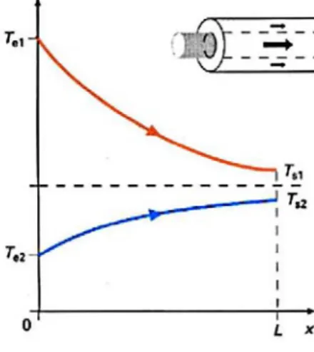 Figure I.1 : Evolution qualitative des températures dans un échangeur tubulaire co- co-courants