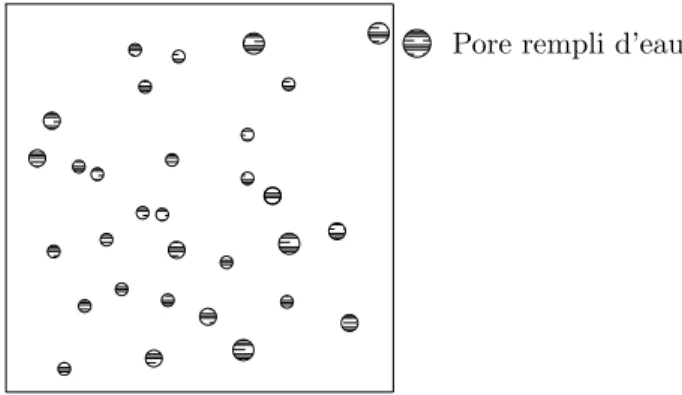 Fig. 3.4 – Distribution des capillaires rectilignes remplis d’eau dans un milieu poreux