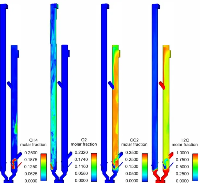 Fig. 16.  Local and instantaneous molar fractions of methane, oxygen, carbon dioxide, and water vapor at the end of the simulation