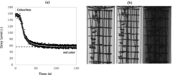 Figure 3 b, the time obtained was 74 s, which is very close to the value found without packing.