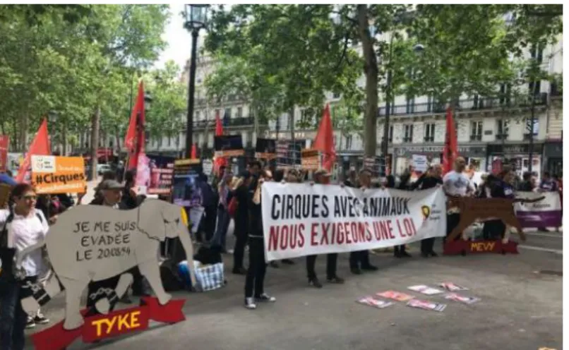 Figure 5 : Manifestation à Paris le 16 mai 2019 pour l’interdiction des animaux sauvages dans  les cirques (Gérard, 2019) 
