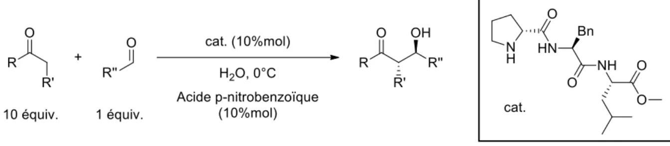 Figure 18 : Réaction d'aldolisation organocatalysée par un dérivé de la prolinamide 73