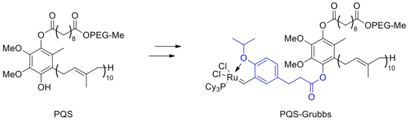 Figure 48 : Représentation du PQS et greffe du catalyseur de Grubbs 