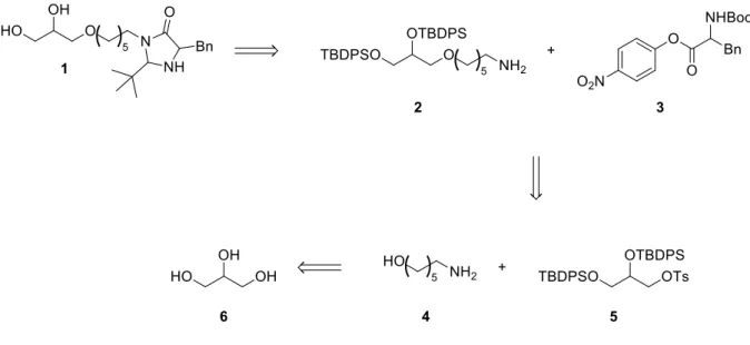 Figure 60 : Schéma rétro-synthétique de la première voie de synthèse 