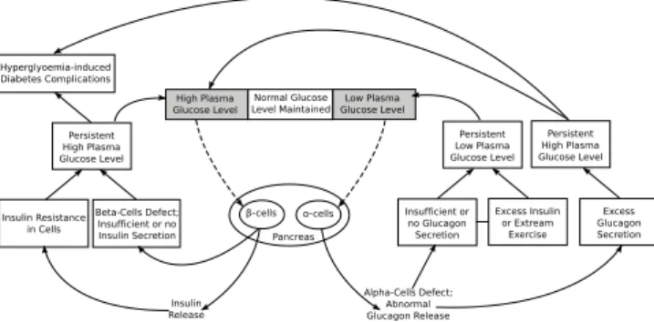 Fig. 3. Abnormal GH System (adopted from [6])