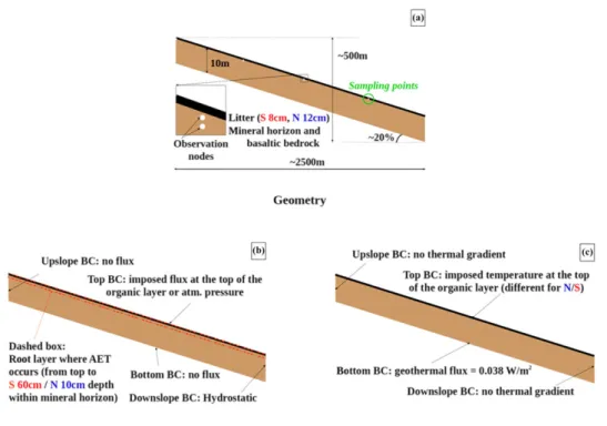 FIGURE 3 Domains of modeling and boundary conditions. –(a) Description of the domains