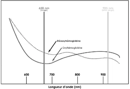 Figure 1 : Courbe d'absorption de l'oxyhémoglobine et désoxyhémoglobine (Feissel, 2007) 