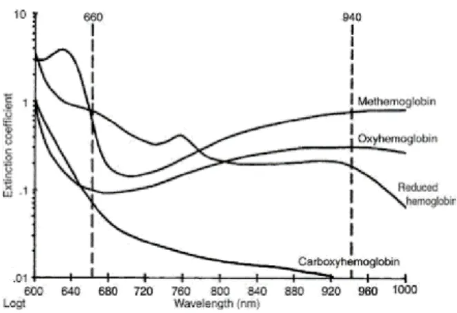 Figure 3 : Courbe d'absorption des différents types d'hémoglobines (d’après Miller et al., 2010) 