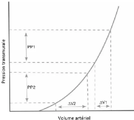 Figure 5 : Relation entre pression transmurale et volume artériel. (d'après Mair et al., 2016) 